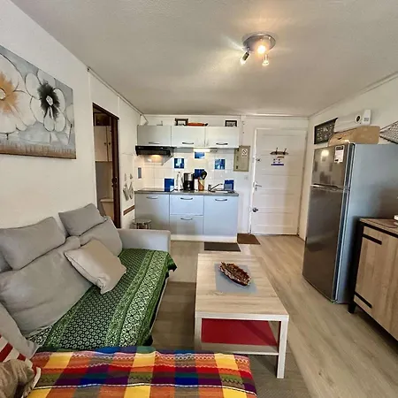 Apartment Cosy Avec Loggia, Proche & Centre, 4 Couchages A Saint-cyprien - Fr-1-225d-201 Saint-Cyprien (Pyrenees-Orientales)